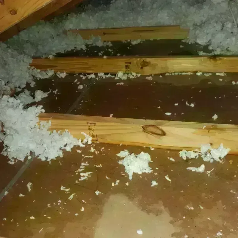 Attic Water Damage in Bensley, VA